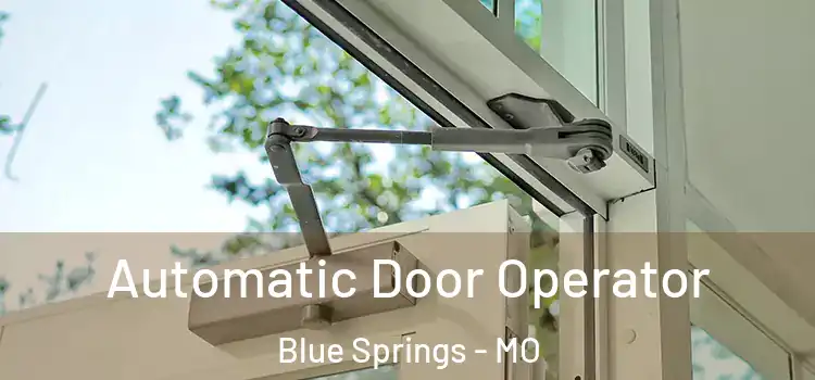 Automatic Door Operator Blue Springs - MO