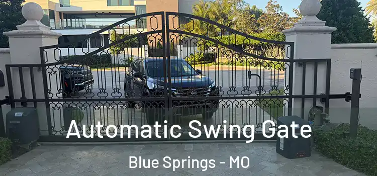 Automatic Swing Gate Blue Springs - MO