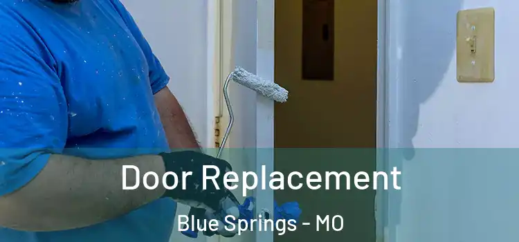 Door Replacement Blue Springs - MO