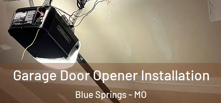  Garage Door Opener Installation Blue Springs - MO