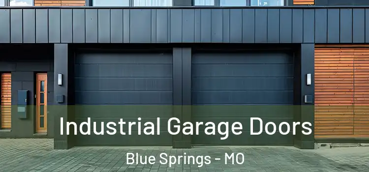 Industrial Garage Doors Blue Springs - MO