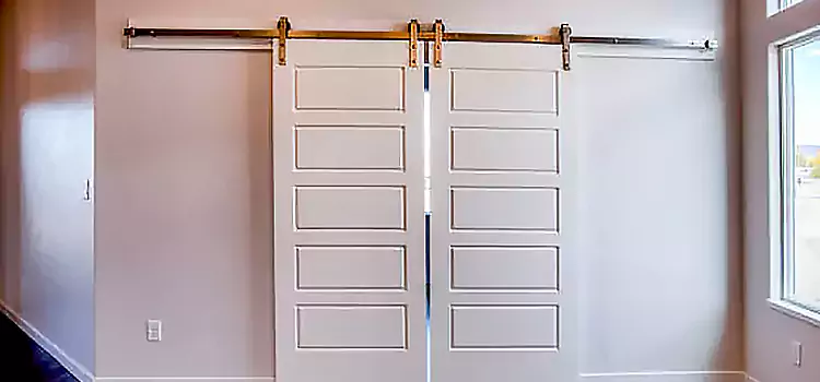 Glass Barn Door with Installation Hardware Kit Blue Springs