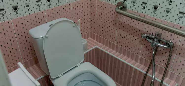 Meeting Diverse Needs With Accessible Restroom Solutions in Blue Springs, MO
