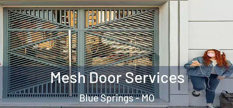 Mesh Door Services Blue Springs - MO