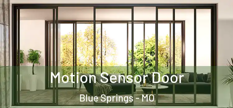 Motion Sensor Door Blue Springs - MO